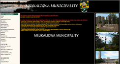Desktop Screenshot of msukaligwa.gov.za